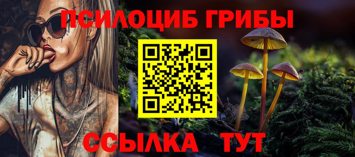 Псилоцибиновые грибы Psilocybine cubensis  как найти наркотики  Псилоцибиновые грибы мицелий  Сухой Лог  Вход с VPN 